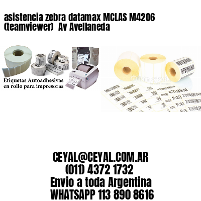 asistencia zebra datamax MCLAS M4206 (teamviewer)  Av Avellaneda
