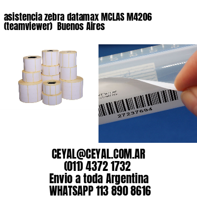 asistencia zebra datamax MCLAS M4206 (teamviewer)  Buenos Aires