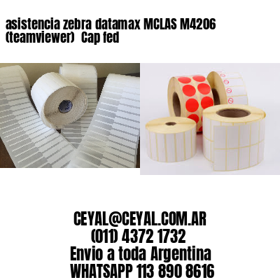 asistencia zebra datamax MCLAS M4206 (teamviewer)  Cap fed