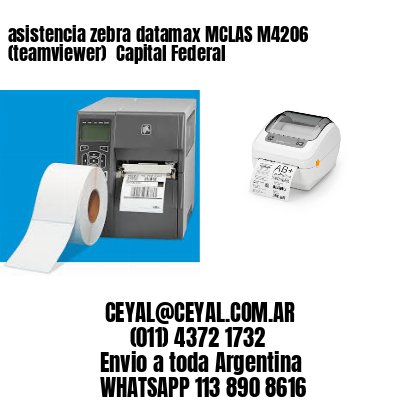 asistencia zebra datamax MCLAS M4206 (teamviewer)  Capital Federal