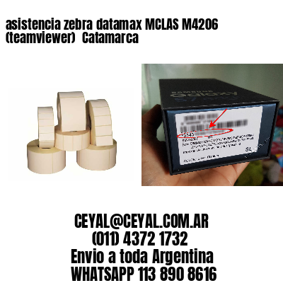 asistencia zebra datamax MCLAS M4206 (teamviewer)  Catamarca