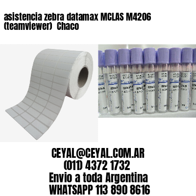 asistencia zebra datamax MCLAS M4206 (teamviewer)  Chaco