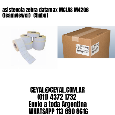 asistencia zebra datamax MCLAS M4206 (teamviewer)  Chubut