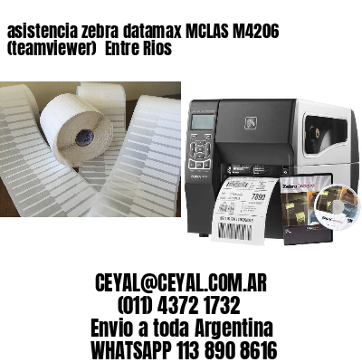 asistencia zebra datamax MCLAS M4206 (teamviewer)  Entre Rios