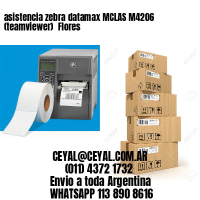 asistencia zebra datamax MCLAS M4206 (teamviewer)  Flores