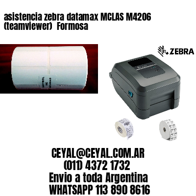 asistencia zebra datamax MCLAS M4206 (teamviewer)  Formosa