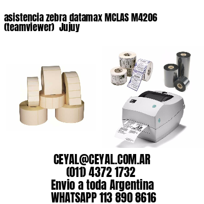 asistencia zebra datamax MCLAS M4206 (teamviewer)  Jujuy