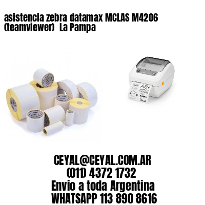 asistencia zebra datamax MCLAS M4206 (teamviewer)  La Pampa