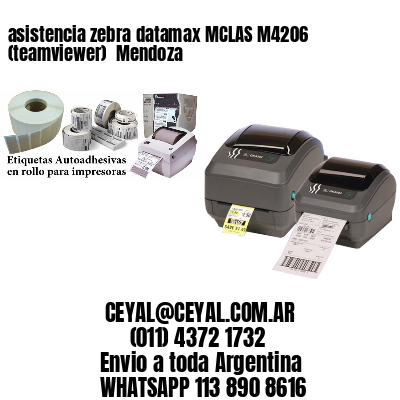 asistencia zebra datamax MCLAS M4206 (teamviewer)  Mendoza