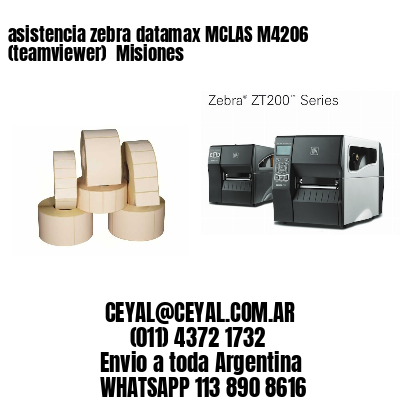 asistencia zebra datamax MCLAS M4206 (teamviewer)  Misiones