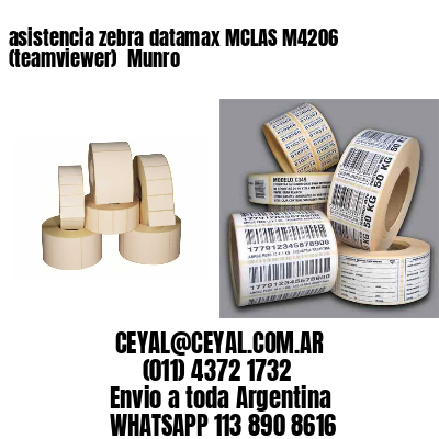 asistencia zebra datamax MCLAS M4206 (teamviewer)  Munro
