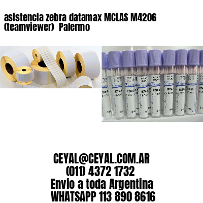 asistencia zebra datamax MCLAS M4206 (teamviewer)  Palermo