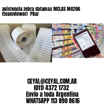 asistencia zebra datamax MCLAS M4206 (teamviewer)  Pilar