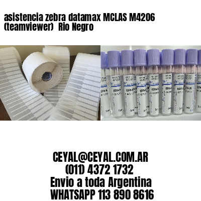 asistencia zebra datamax MCLAS M4206 (teamviewer)  Rio Negro