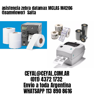 asistencia zebra datamax MCLAS M4206 (teamviewer)  Salta