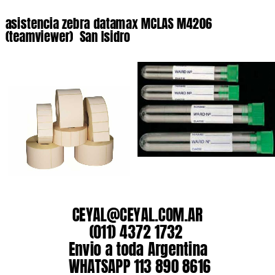 asistencia zebra datamax MCLAS M4206 (teamviewer)  San Isidro