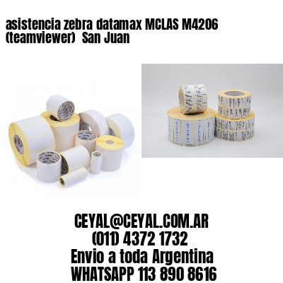asistencia zebra datamax MCLAS M4206 (teamviewer)  San Juan
