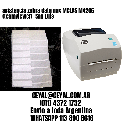 asistencia zebra datamax MCLAS M4206 (teamviewer)  San Luis