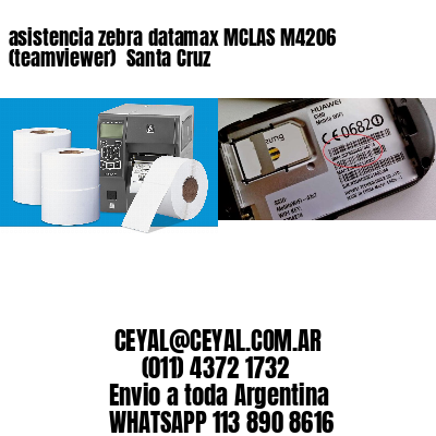 asistencia zebra datamax MCLAS M4206 (teamviewer)  Santa Cruz