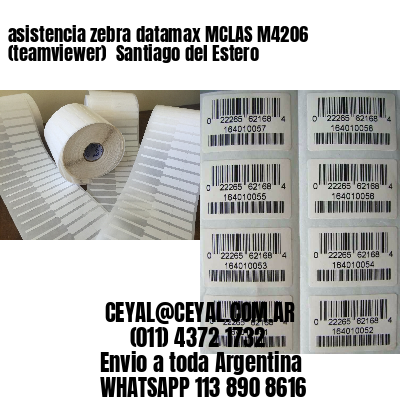 asistencia zebra datamax MCLAS M4206 (teamviewer)  Santiago del Estero