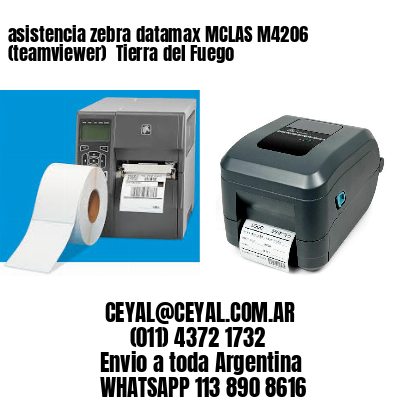 asistencia zebra datamax MCLAS M4206 (teamviewer)  Tierra del Fuego
