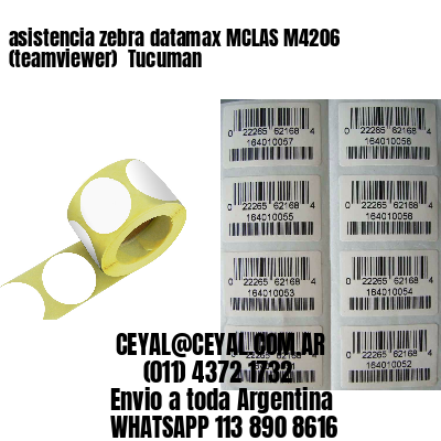 asistencia zebra datamax MCLAS M4206 (teamviewer)  Tucuman