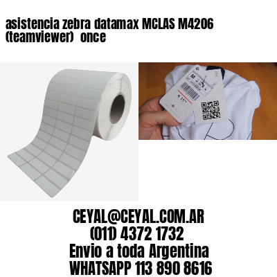 asistencia zebra datamax MCLAS M4206 (teamviewer)  once