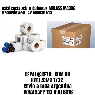 asistencia zebra datamax MCLASS M4306 (teamviewer)  Av Avellaneda