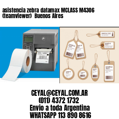 asistencia zebra datamax MCLASS M4306 (teamviewer)  Buenos Aires