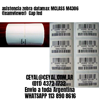 asistencia zebra datamax MCLASS M4306 (teamviewer)  Cap fed