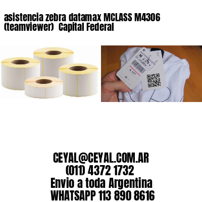 asistencia zebra datamax MCLASS M4306 (teamviewer)  Capital Federal