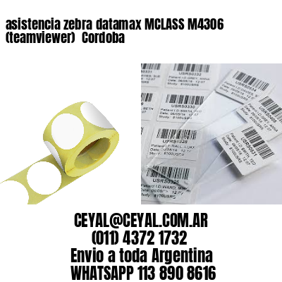 asistencia zebra datamax MCLASS M4306 (teamviewer)  Cordoba