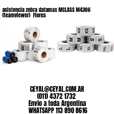 asistencia zebra datamax MCLASS M4306 (teamviewer)  Flores