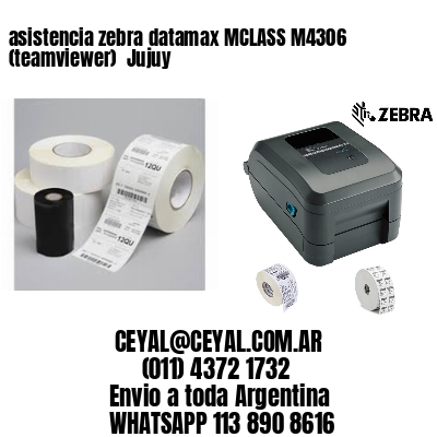 asistencia zebra datamax MCLASS M4306 (teamviewer)  Jujuy