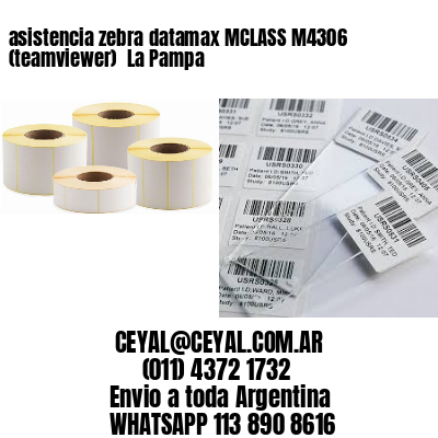asistencia zebra datamax MCLASS M4306 (teamviewer)  La Pampa