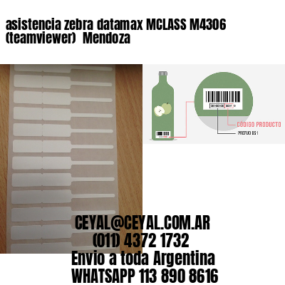 asistencia zebra datamax MCLASS M4306 (teamviewer)  Mendoza