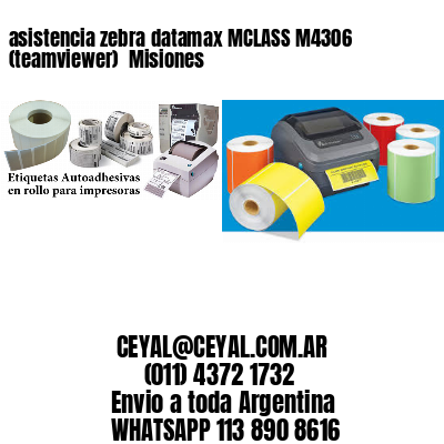 asistencia zebra datamax MCLASS M4306 (teamviewer)  Misiones