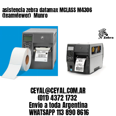 asistencia zebra datamax MCLASS M4306 (teamviewer)  Munro