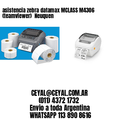 asistencia zebra datamax MCLASS M4306 (teamviewer)  Neuquen