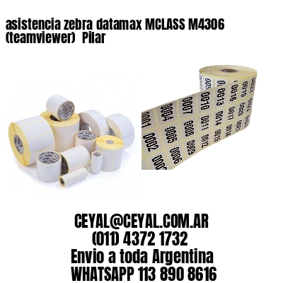 asistencia zebra datamax MCLASS M4306 (teamviewer)  Pilar