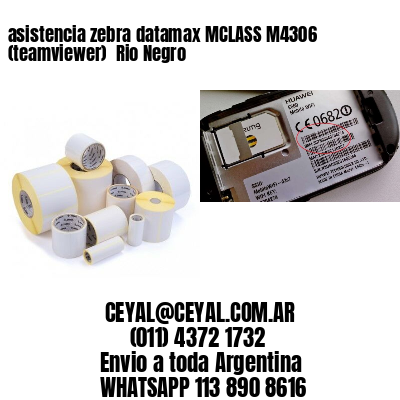 asistencia zebra datamax MCLASS M4306 (teamviewer)  Rio Negro