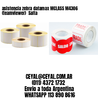 asistencia zebra datamax MCLASS M4306 (teamviewer)  Salta