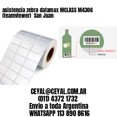 asistencia zebra datamax MCLASS M4306 (teamviewer)  San Juan