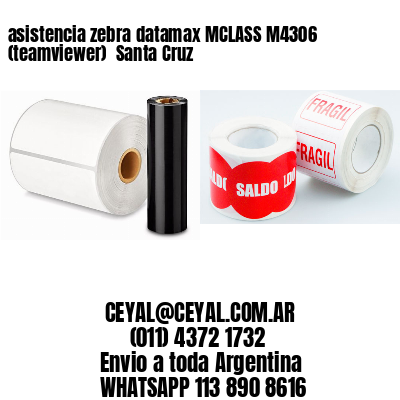 asistencia zebra datamax MCLASS M4306 (teamviewer)  Santa Cruz