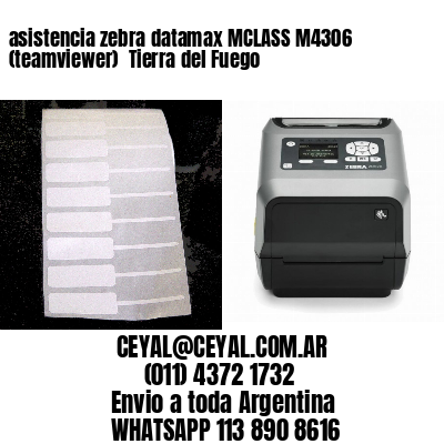 asistencia zebra datamax MCLASS M4306 (teamviewer)  Tierra del Fuego