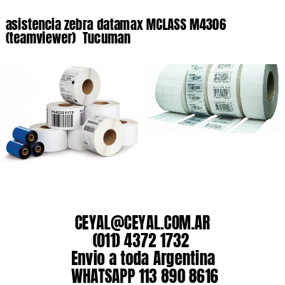asistencia zebra datamax MCLASS M4306 (teamviewer)  Tucuman