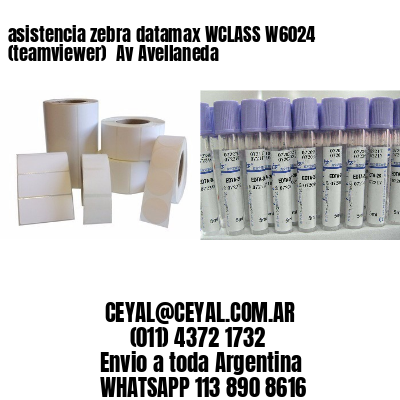 asistencia zebra datamax WCLASS W6024 (teamviewer)  Av Avellaneda