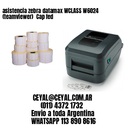 asistencia zebra datamax WCLASS W6024 (teamviewer)  Cap fed