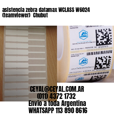 asistencia zebra datamax WCLASS W6024 (teamviewer)  Chubut