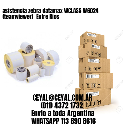asistencia zebra datamax WCLASS W6024 (teamviewer)  Entre Rios